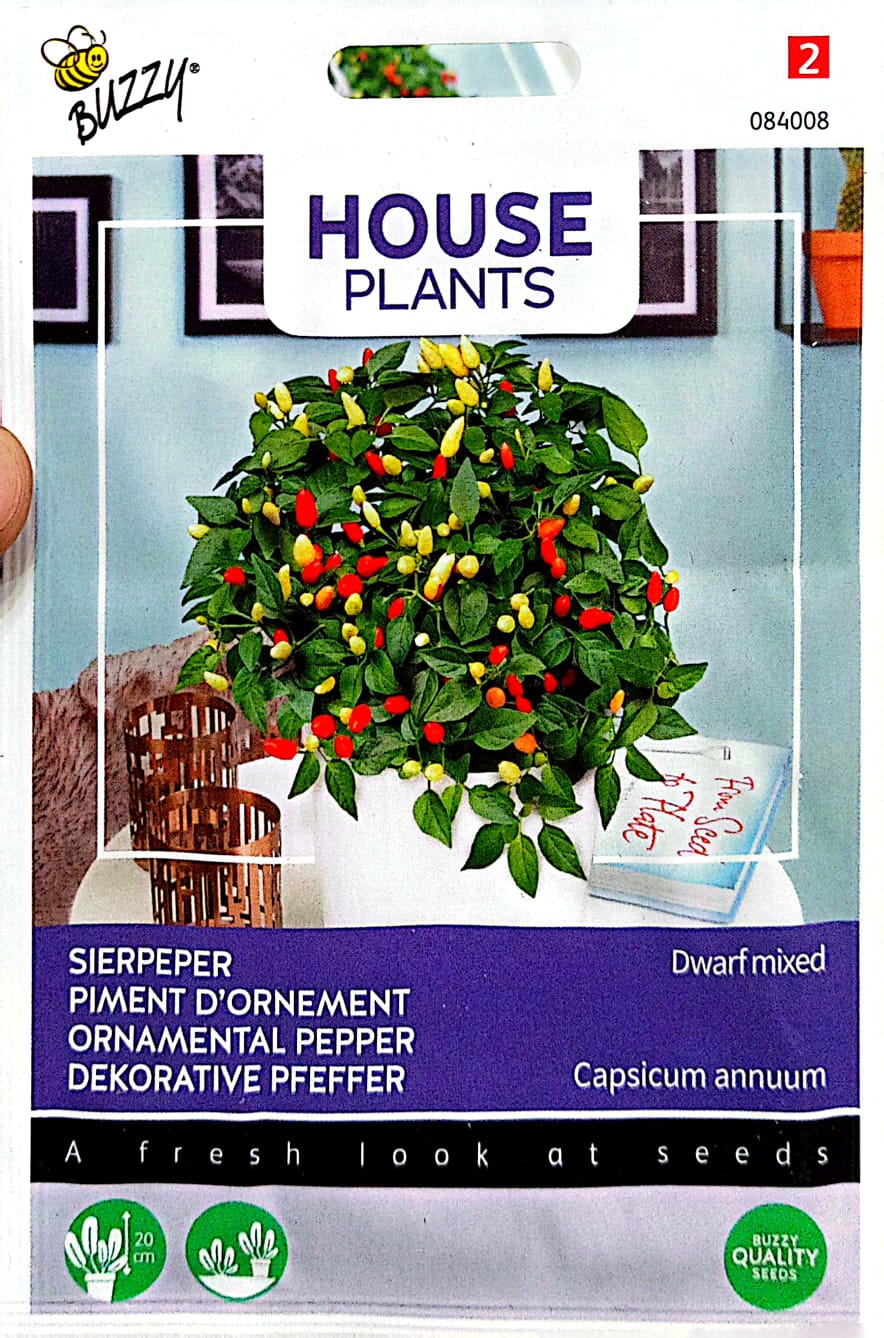 Buzzy Ornamental Pepper 084008