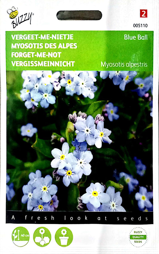 Buzzy Myosotis, 'forget-me-not' blue 005110