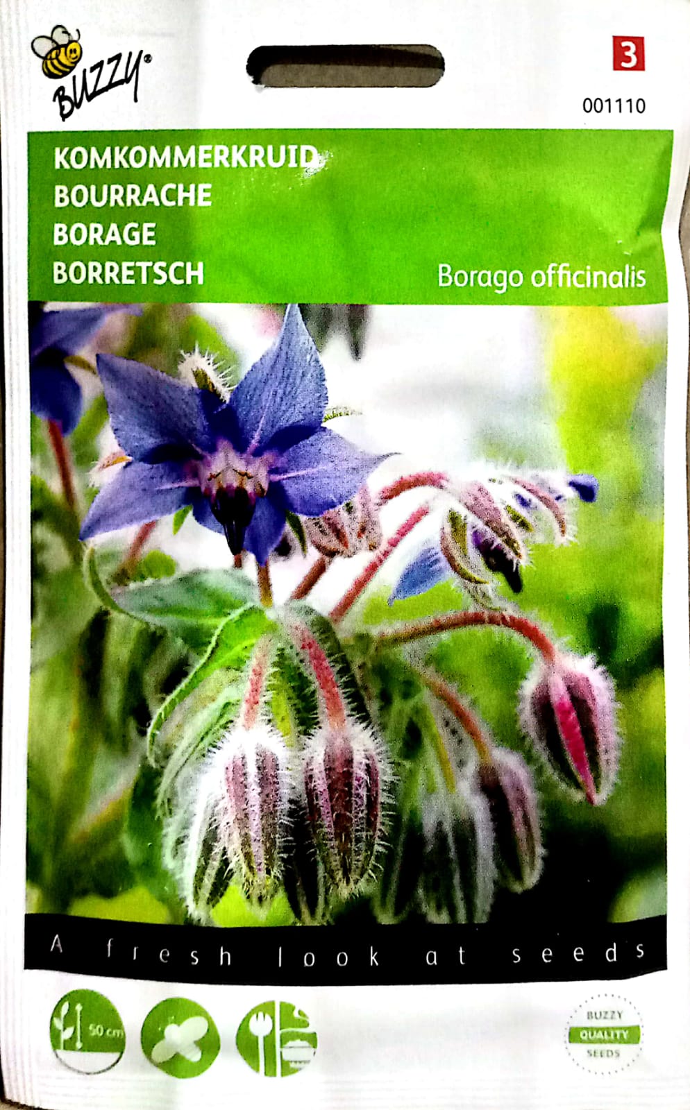 BUZZY Borage 001110